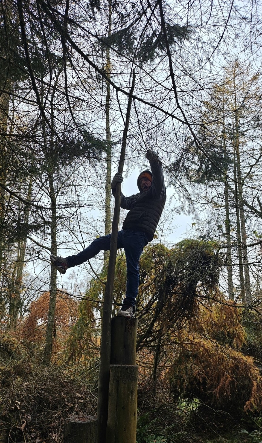 A person enjoying an outdoor woodland activity